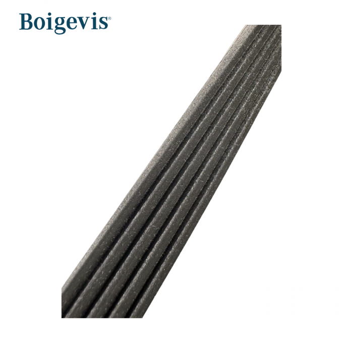 07k145933f कार इंजन स्पेयर पार्ट्स वोक्सवैगन बीटल Passat Jetta के लिए अल्टरनेटर बेल्ट 4