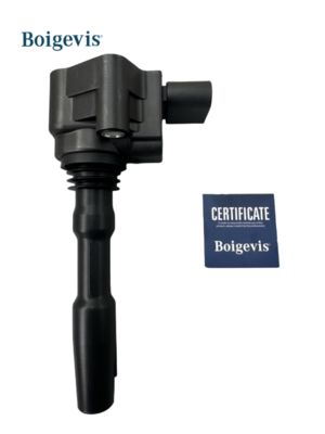 079905110J VW AUDI A6 VAG SEAT SKODA BENTLEY के लिए इग्निशन कॉइल